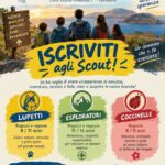 Scout